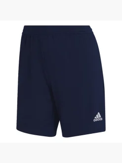 Adidas Entrada 22 Training Shorts